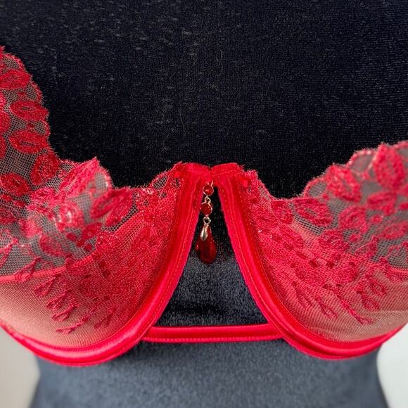 Honey Birdette 36H Red Embroidered Mesh Balcony Bra Cage Detail Missing Chain - Picture 3 of 16
